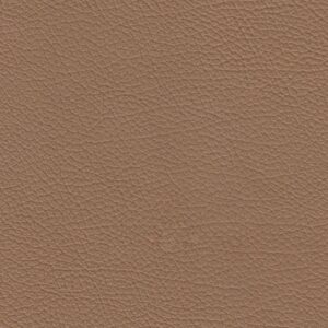 empire walnut